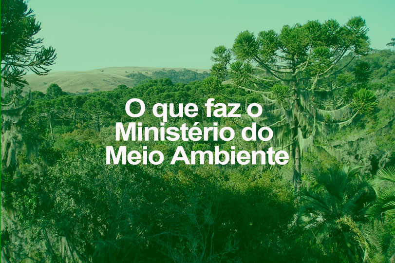 Sem noção: Anúncio da fusão dos ministérios da Agricultura e Meio Ambiente preocupa a Coalizão Brasil