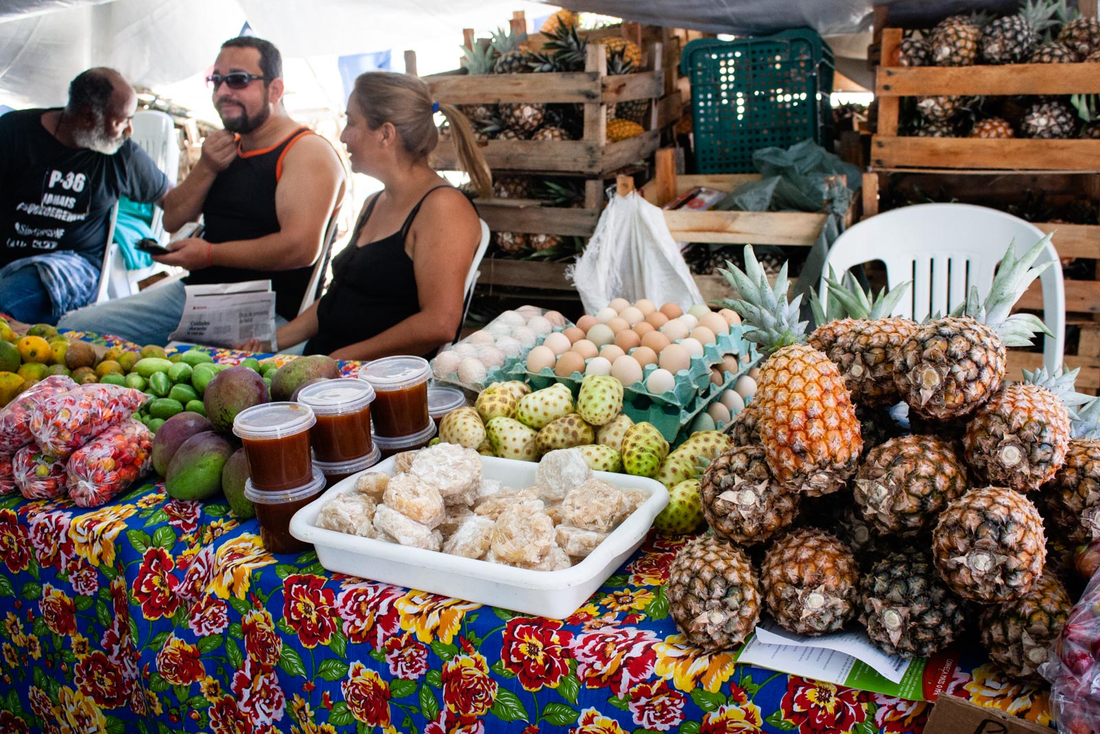 10ª Feira da Reforma Agrária Cícero Guedes se inicia no Rio de Janeiro