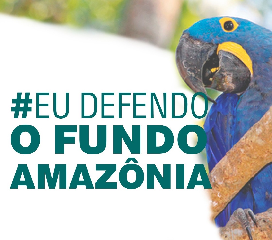 Fundo Amazônia ameaçado: Nota da AFBNDES sobre carta dos doadores do Fundo Amazônia