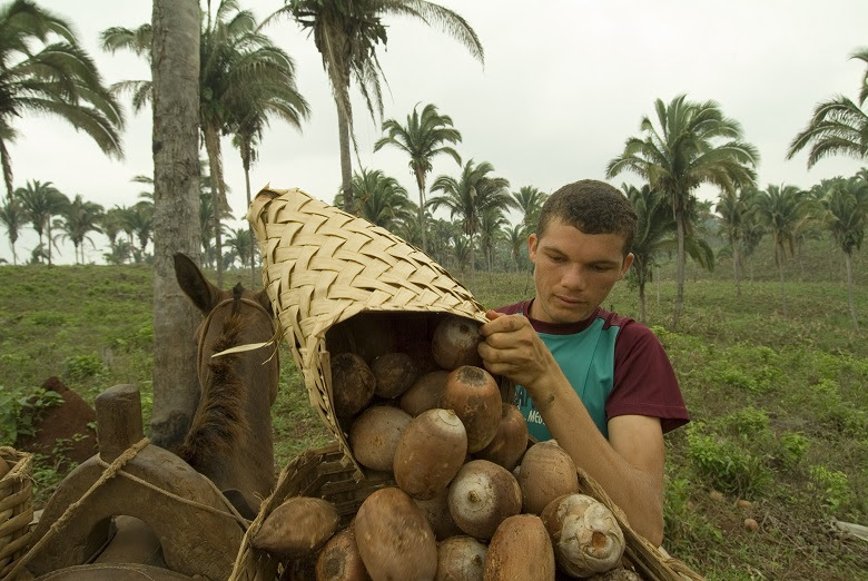 Bioindústria de TO é exemplo de empresa sustentável na Amazônia Legal