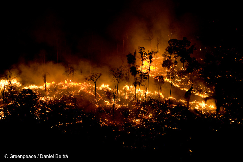 Amazônia sob ataque: queimadas têm aumento de 145% em 2019