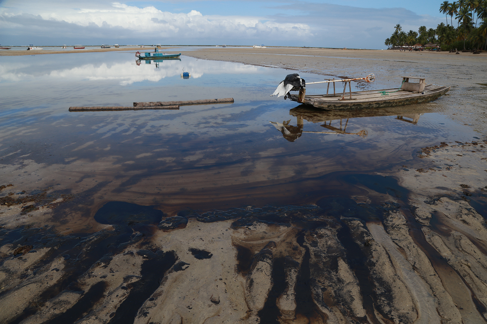 Desastre Ambiental no Nordeste: Governo de Pernambuco já retirou 71 toneladas de óleo das praias do litoral sul