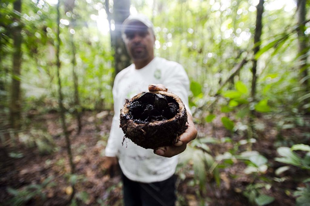 Biodiversidade tem valor financeiro para os negócios