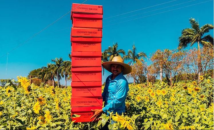 Farmácia na cozinha: ter uma alimentação mais saudável é cultivar a saúde