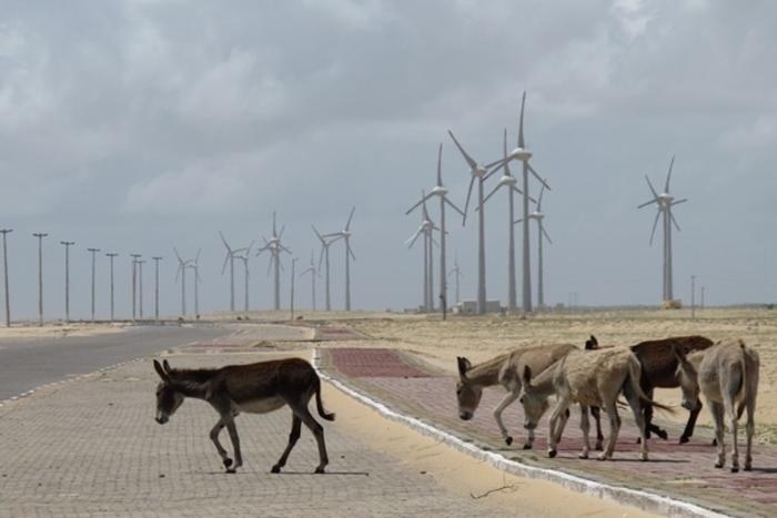 Usinas eólicas nordestinas serão as mais prejudicadas pela mudança na precificação de energia