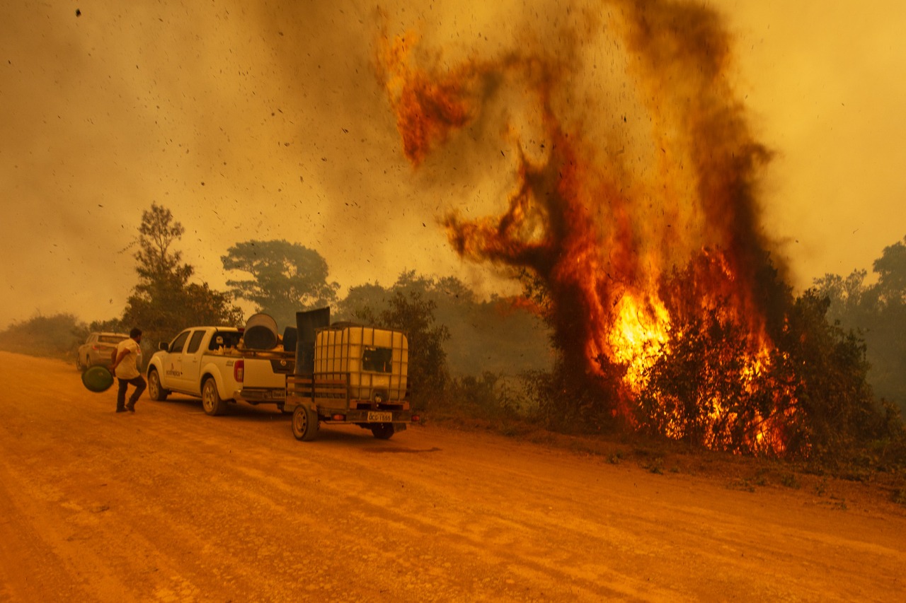 Conselho de Biologia alerta para repetição da tragédia no Pantanal