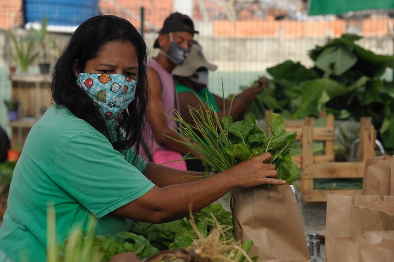 Em plena pandemia Covid-19, Prefeitura do Rio ameaça destruir o Programa  Hortas Cariocas, referência em segurança alimentar