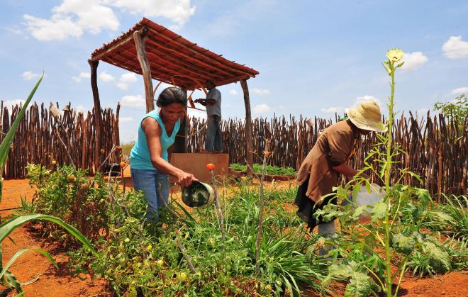 CONTAG denuncia extinção do Programa de Aquisição de Alimentos (PAA) e exigência de contrapartida em “programa substituto”