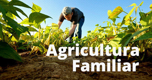 Repúdio ao veto presidencial no ato de sanção do PL da Agricultura Familiar
