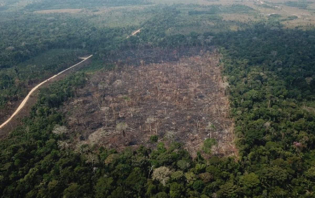 Conheça as principais nuances do Pacote Verde, que teve o julgamento adiado pelo STF após pedido de vistas