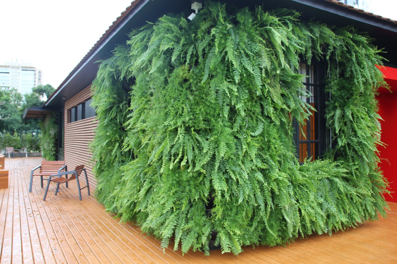 Telhados Verdes: Veja os benefícios do jardim vertical em uma biblioteca pública