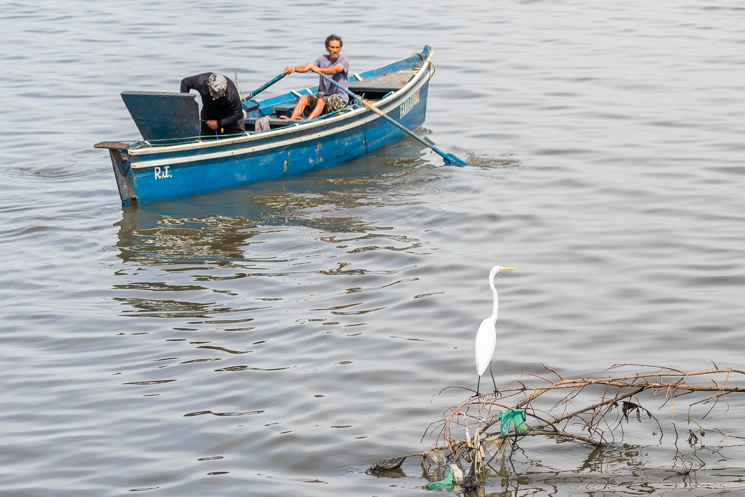 Monitoramento da Qualidade da Água na região da Baía de Guanabara mostra resultados alarmantes