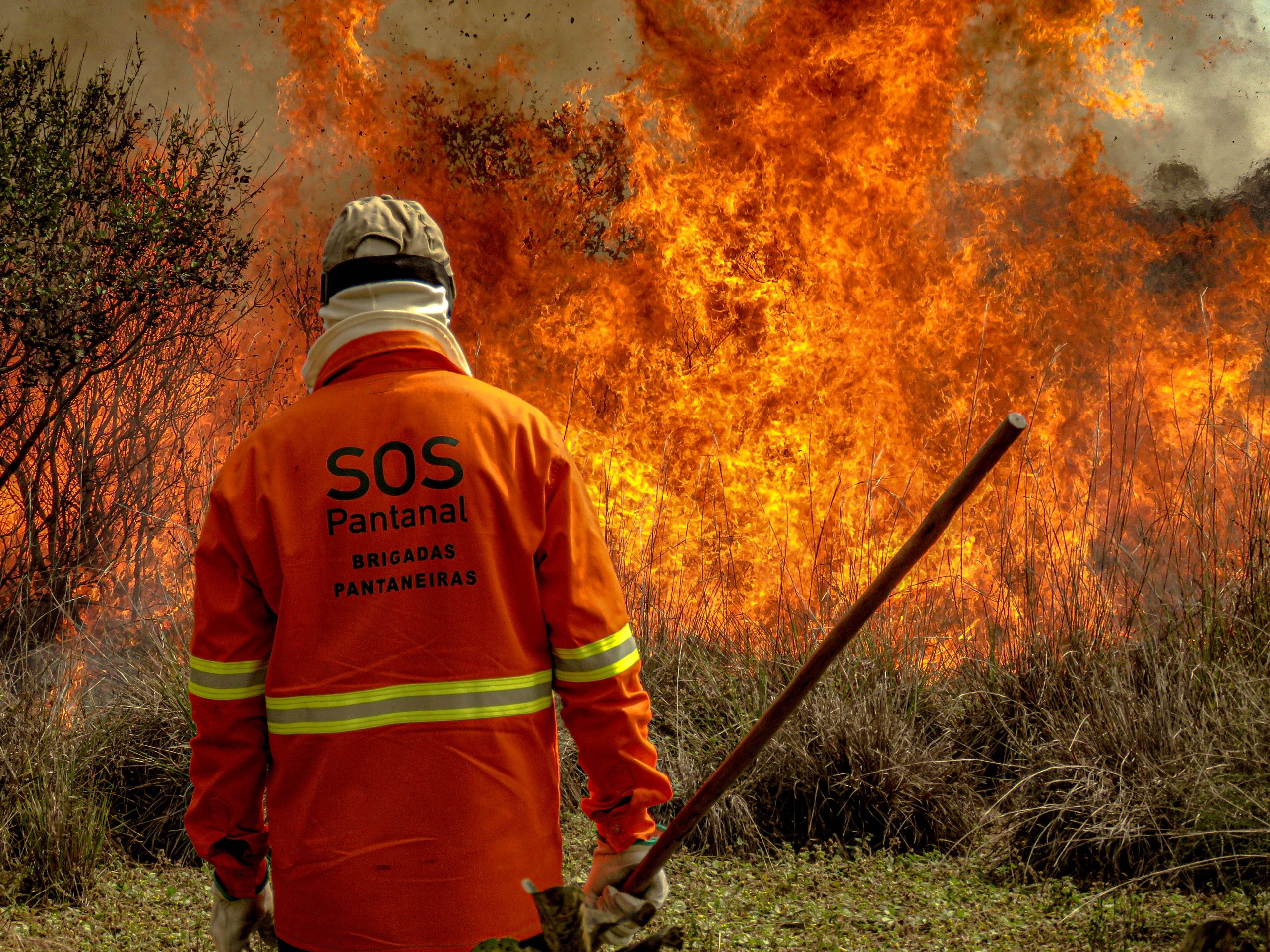 CHAMAS NO BRASIL! SOS PANTANAL ALERTA PARA A NECESSIDADE DE FISCALIZAÇÃO DOS INCÊNDIOS NO BIOMA E DE URGENTE INVESTIGAÇÃO DE SUA ORIGEM