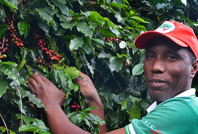 Seminário sobre tecnologia, inovação e agroecologia ocorre no Rio de Janeiro, de 12 a 14 de novembro